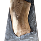 ARTISAN COLLECTION: CB-175 (Large)